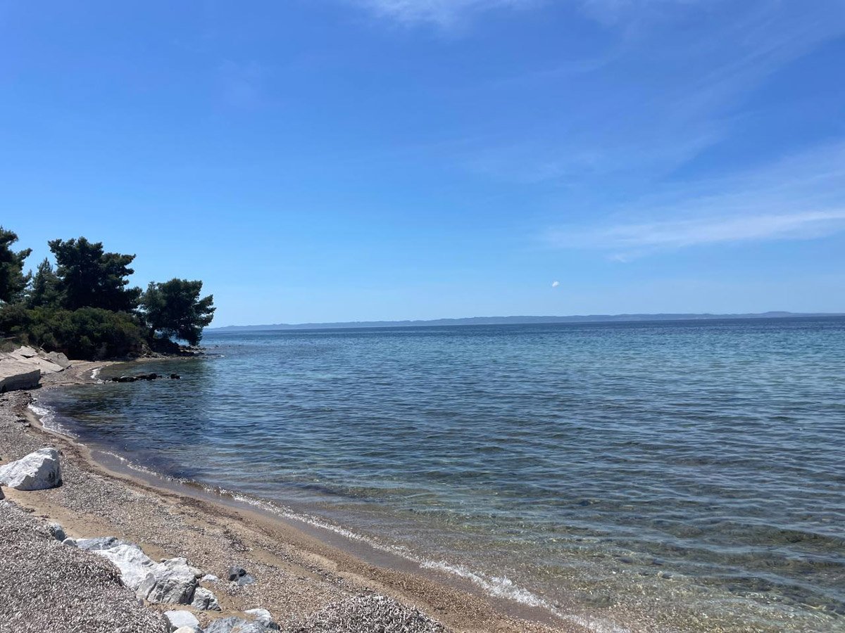 Mezoneta Metamorfwsh 21