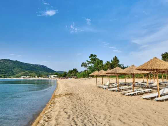 SP 25 Complex Toroni1 Sirun Property