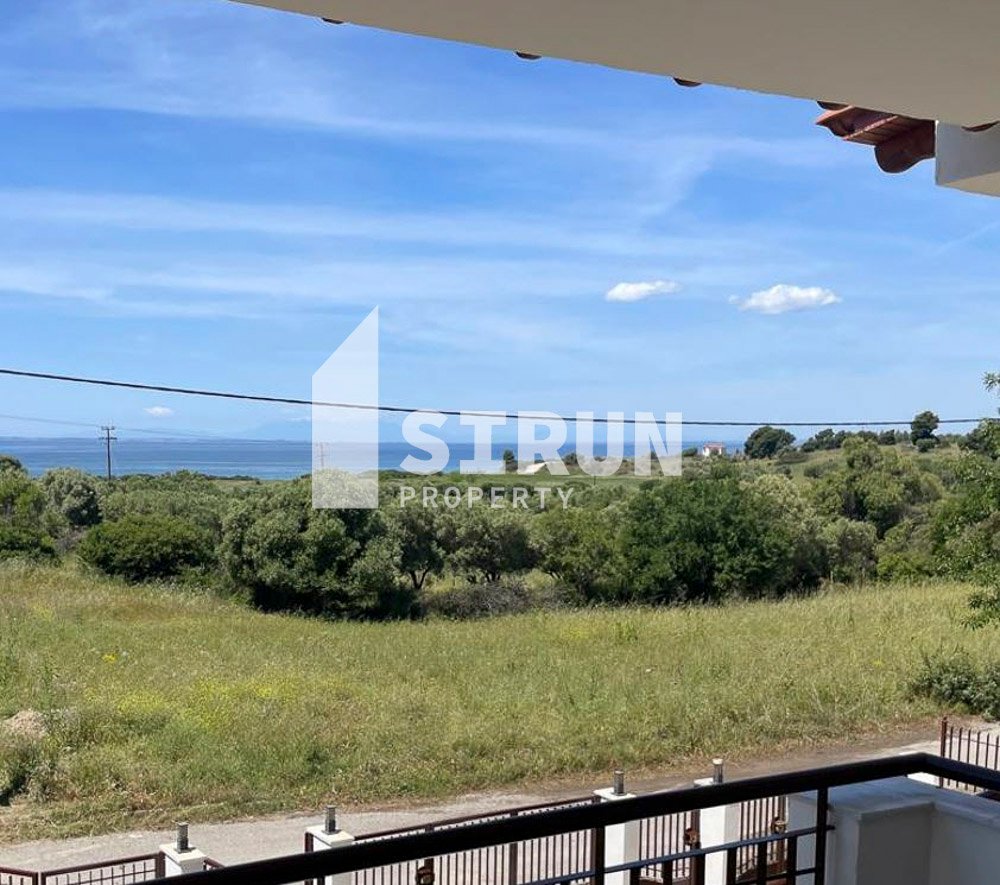 sp-07-mezoneta-Metamorfosi-5