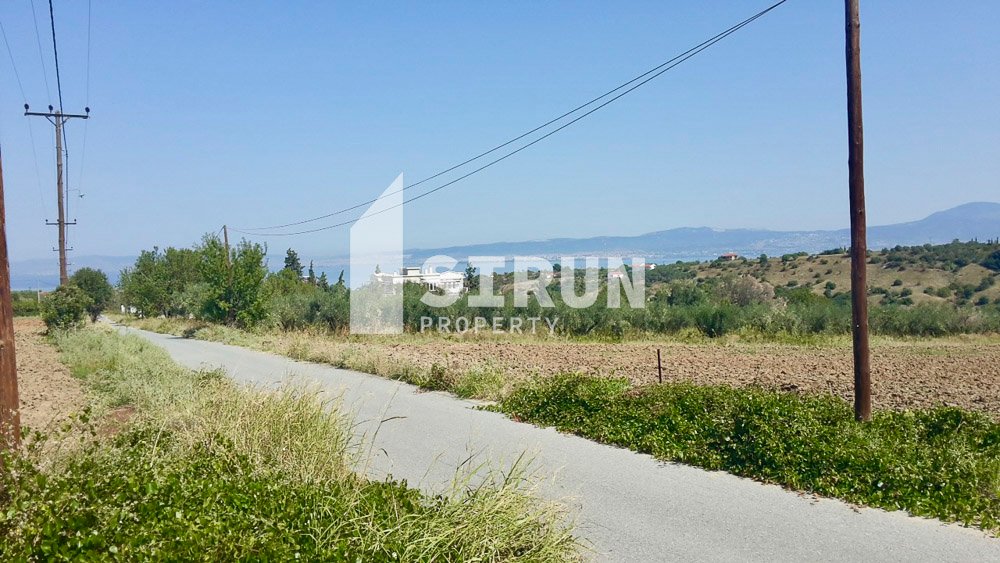 Αγροτεμάχιο, Θερμαϊκός – Αγία Τριάδα