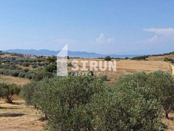 Αγροτεμάχιο, Χαλκιδική – Τρυπητή