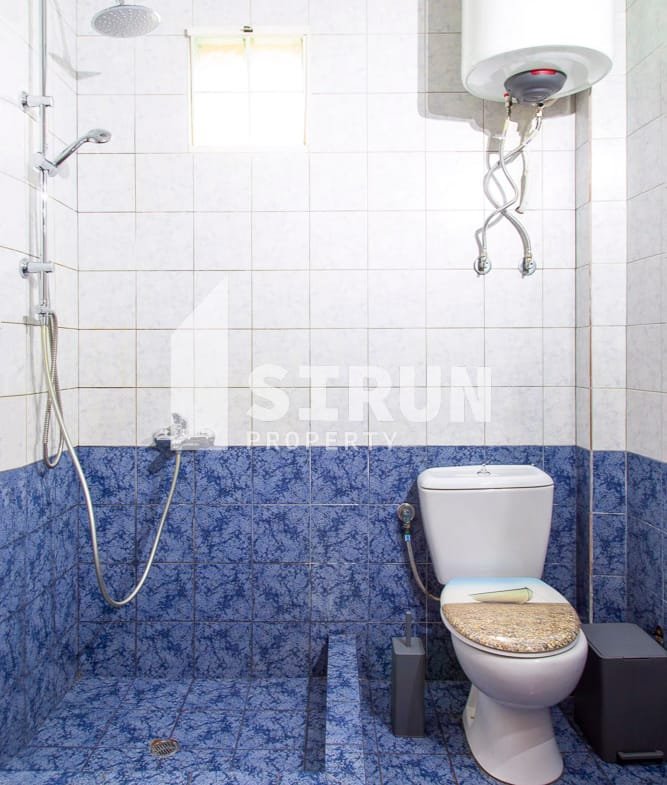 667