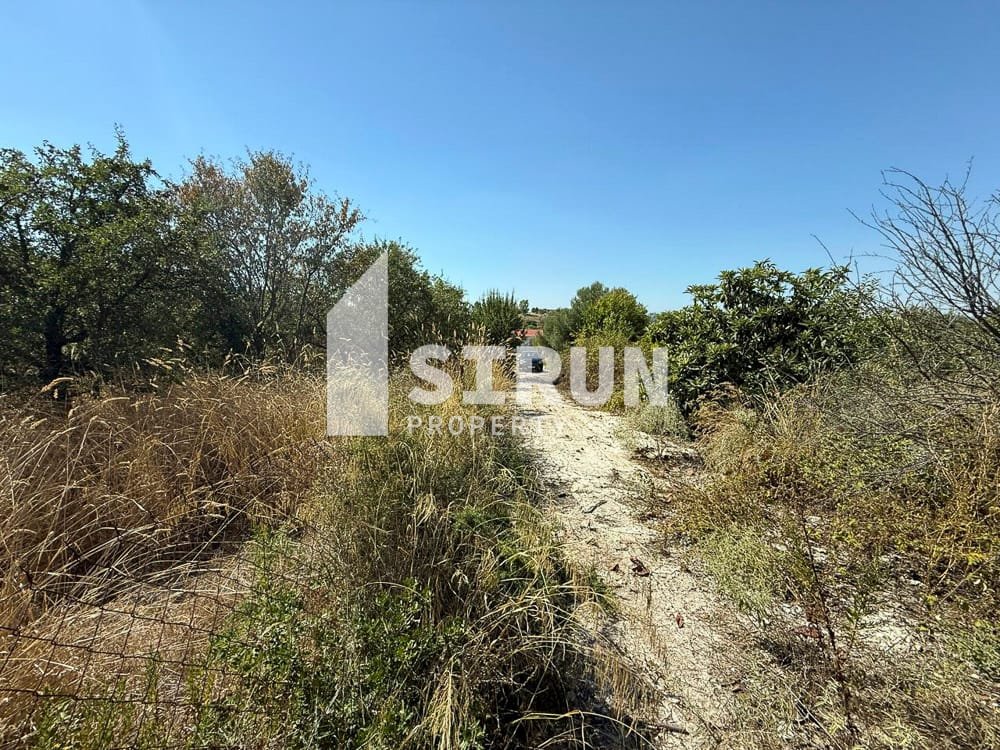 Land, Halkidiki – Nea Potidaia