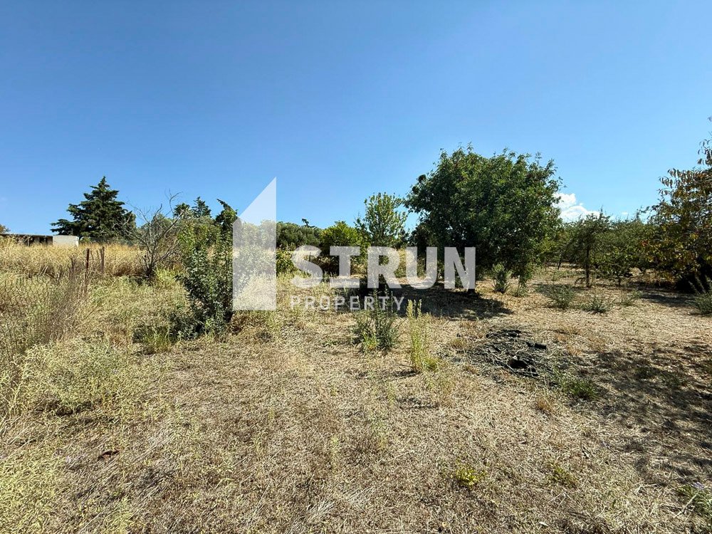 Land, Halkidiki – Nea Potidaia